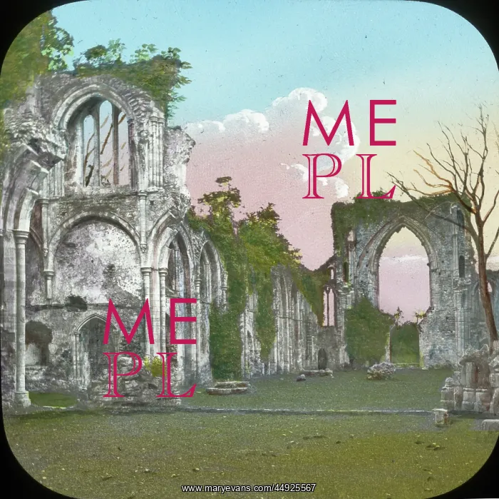 : Netley Abbey (interior), Medieval Monastery in Hampshire : Netley Abbey (interior), Medieval Monastery in Hampshire