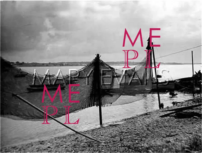 : NETS AT MANNINGTREE : NETS AT MANNINGTREE