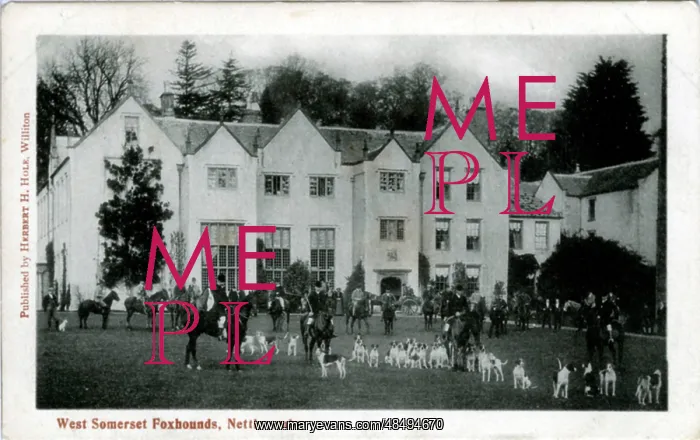 : Nettlecombe Court, Williton, Somerset : Nettlecombe Court, Williton, Somerset