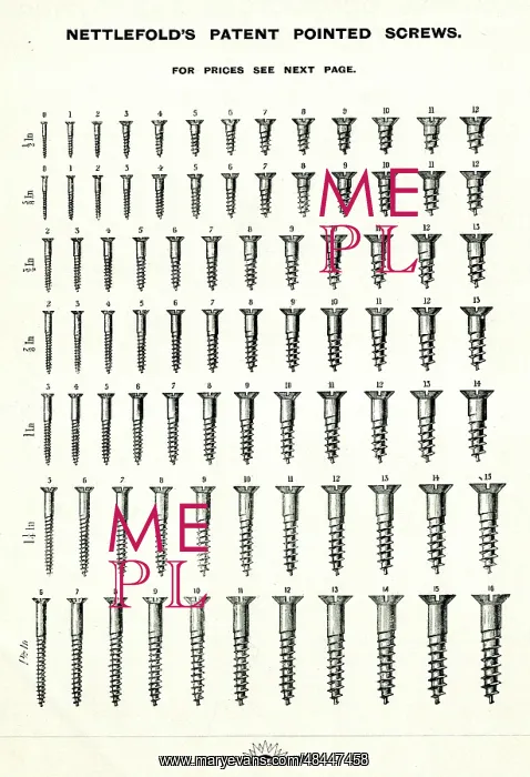 : Nettlefold's patent pointed screws : Nettlefold's patent pointed screws