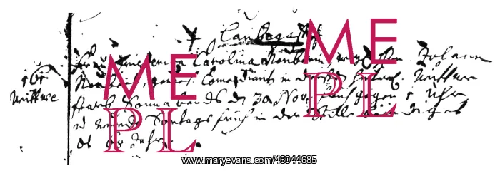 : Neuber, Frederike Caroline, 9.3.1697 - 30.11.1760 : Neuber, Frederike Caroline, 9.3.1697 - 30.11.1760