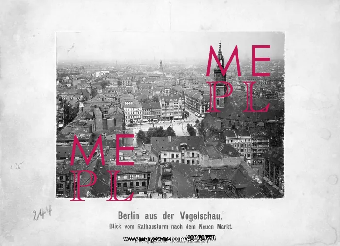 : The Neuer Markt in Berlin, 1908 : The Neuer Markt in Berlin, 1908