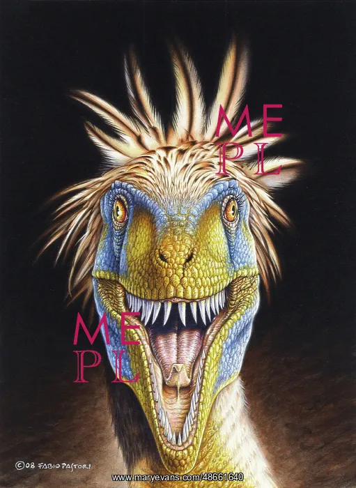 : Neuquenraptor argentinus, front view : Neuquenraptor argentinus, front view