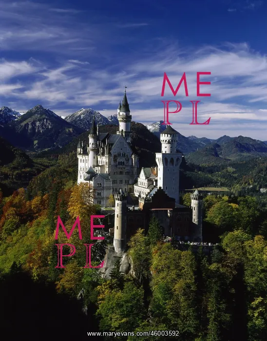 : Neuschwanstein Castle : Neuschwanstein Castle
