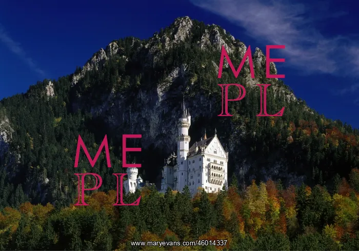 : Neuschwanstein castle : Neuschwanstein castle