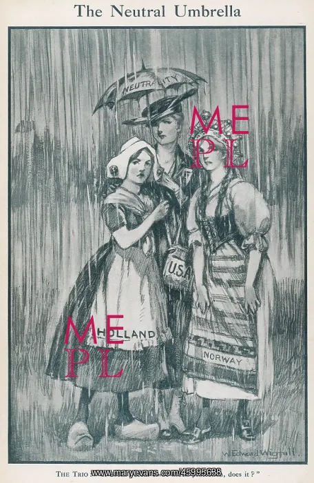 : THE NEUTRAL UMBRELLA : THE NEUTRAL UMBRELLA