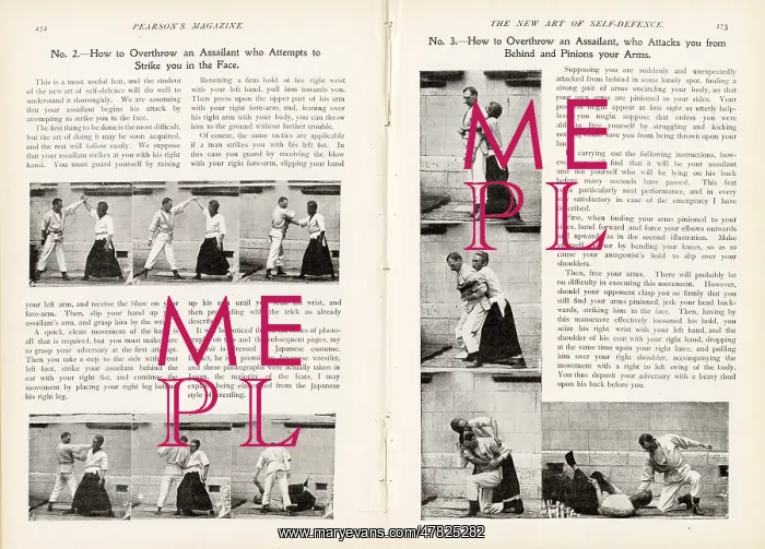 : The new art of self-defence by E. W. Barton-Wright : The new art of self-defence by E. W. Barton-Wright
