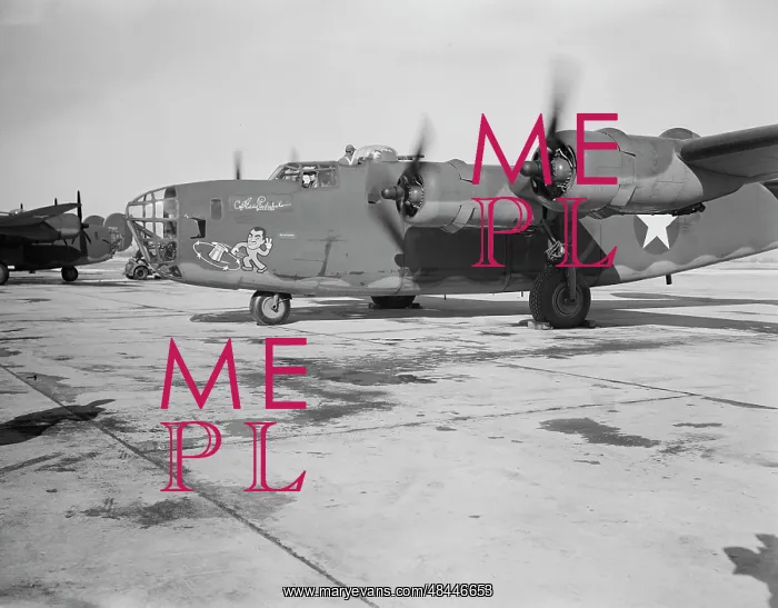 : A new B-24E Liberator bomber returns to the : A new B-24E Liberator bomber returns to the