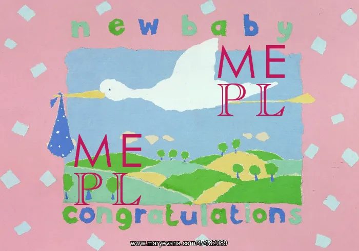  : New Baby Congratulations ' stork
