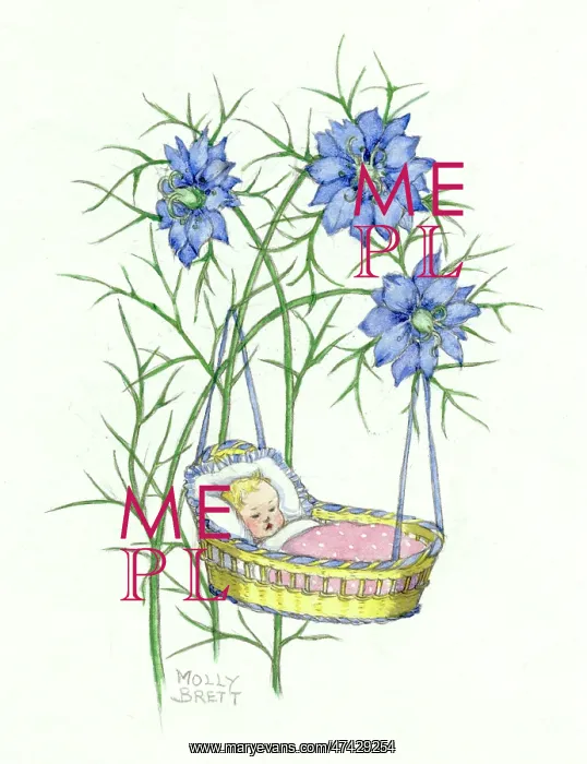 : New baby by Molly Brett : New baby by Molly Brett