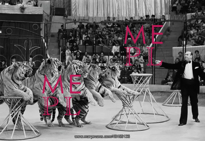 : New circus programme premiere in Ufa : New circus programme premiere in Ufa