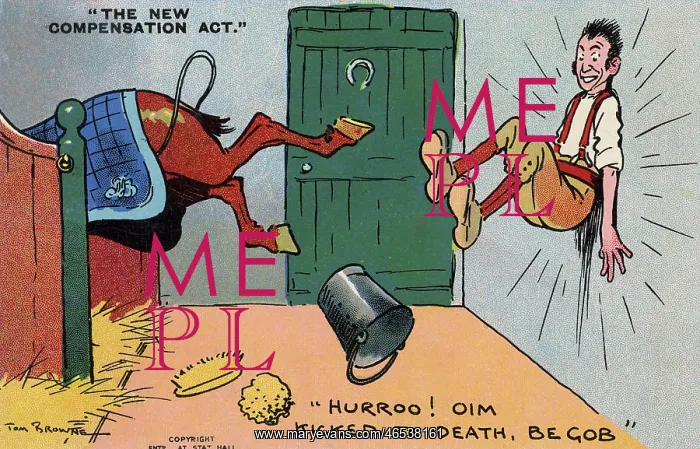 : New Compensation Act - 1906 - Stableboy kicked in stable : New Compensation Act - 1906 - Stableboy kicked in stable