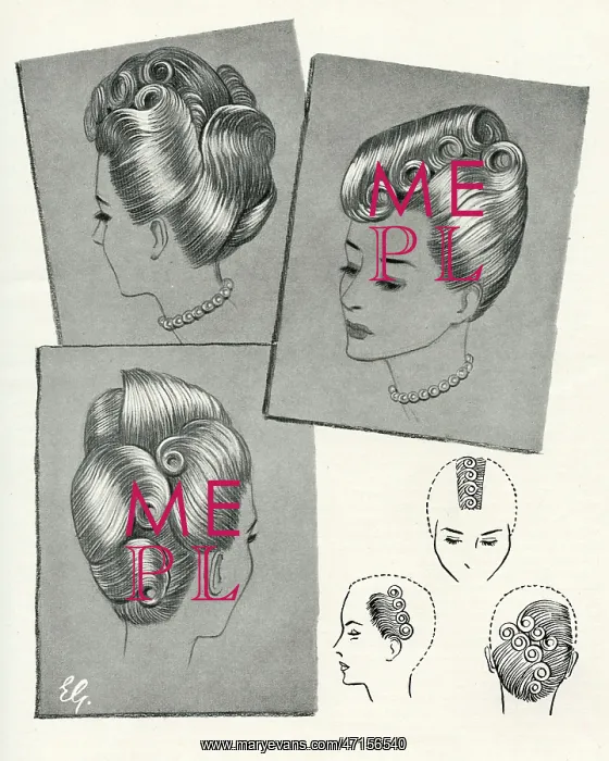 : The new Coxcomb of the 1940s : The new Coxcomb of the 1940s