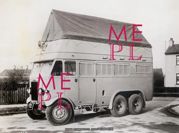 : New double-decker bus : New double-decker bus
