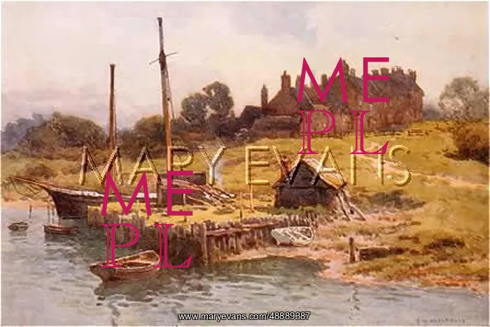  : NEW FOREST / BUCKLER'S