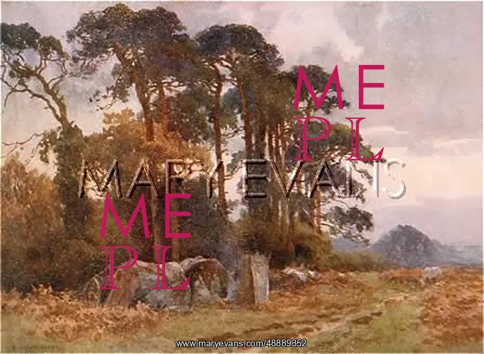 : NEW FOREST / COLDHARBOUR : NEW FOREST / COLDHARBOUR