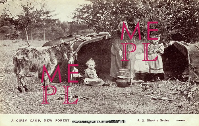  : New Forest Gypsy Camp