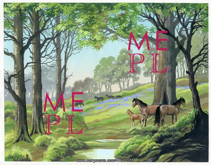 : New Forest Ponies in spring landscape : New Forest Ponies in spring landscape