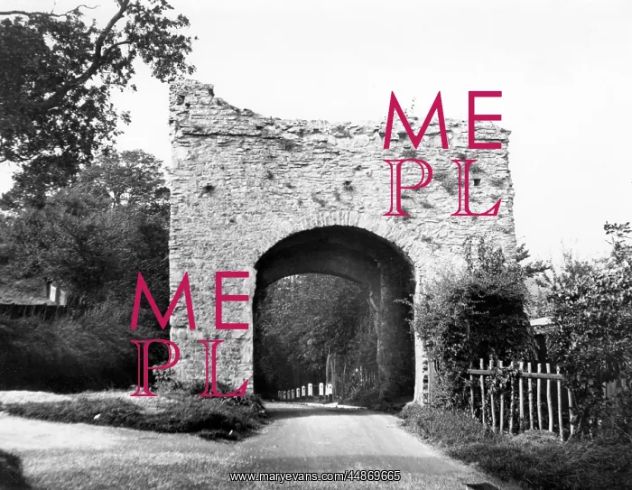  : NEW GATE, WINCHELSEA