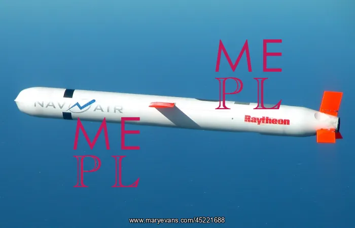 : A new generation of Tomahawk cruise missile ? : A new generation of Tomahawk cruise missile ?