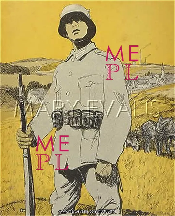 : THE NEW GERMANY ARMS : THE NEW GERMANY ARMS