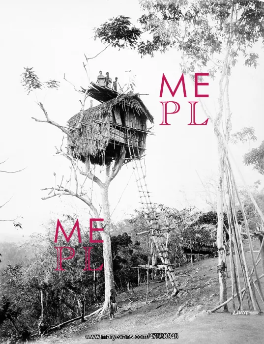  : New Guinea