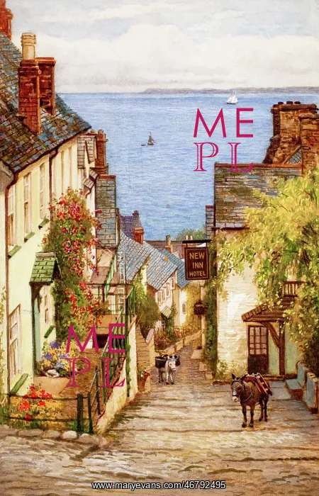  : New Inn Hotel, Clovelly, Devon