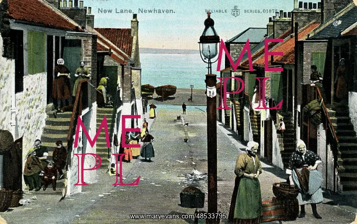 : New Lane, Newhaven, Midlothian : New Lane, Newhaven, Midlothian