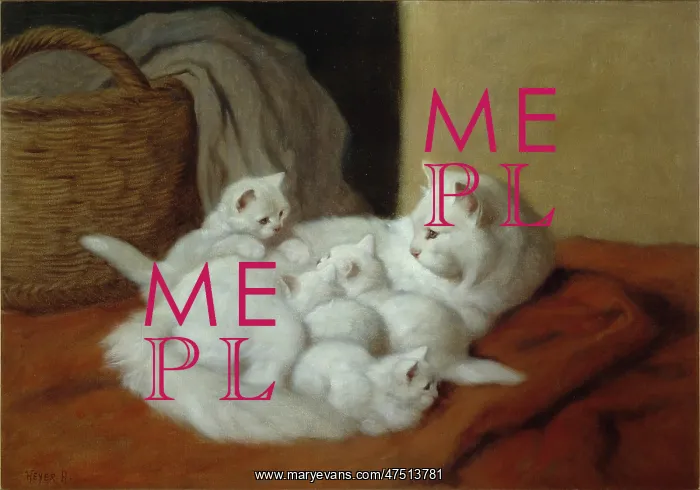 : The New Litter ' white cat with four kittens : The New Litter ' white cat with four kittens