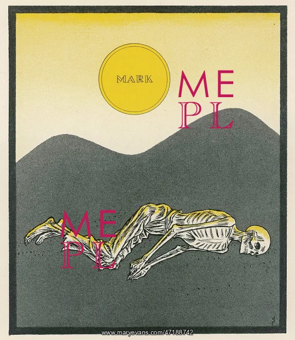 : THE NEW MARK : THE NEW MARK