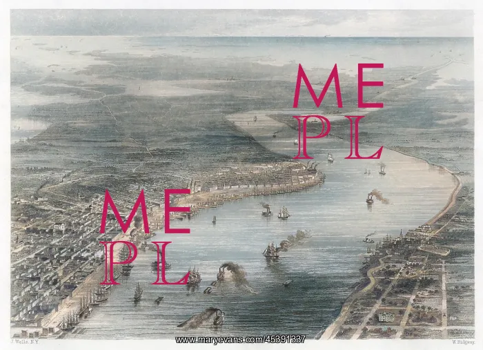  : NEW ORLEANS / BIRD'S EYE