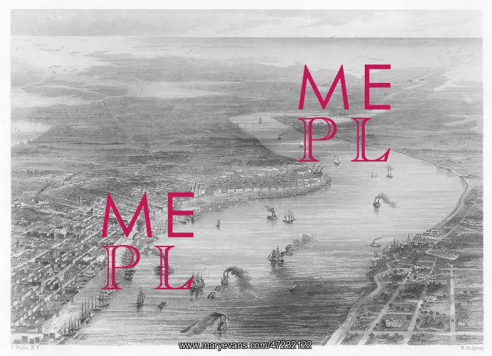: NEW ORLEANS / BIRD'S EYE : NEW ORLEANS / BIRD'S EYE