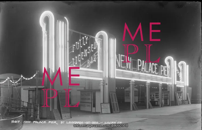 : New Palace Pier at Night : New Palace Pier at Night