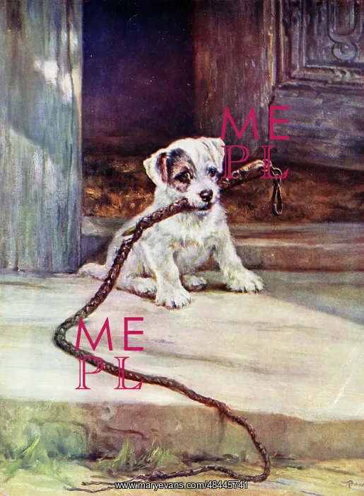 : The New Pet, terrier puppy with whip : The New Pet, terrier puppy with whip