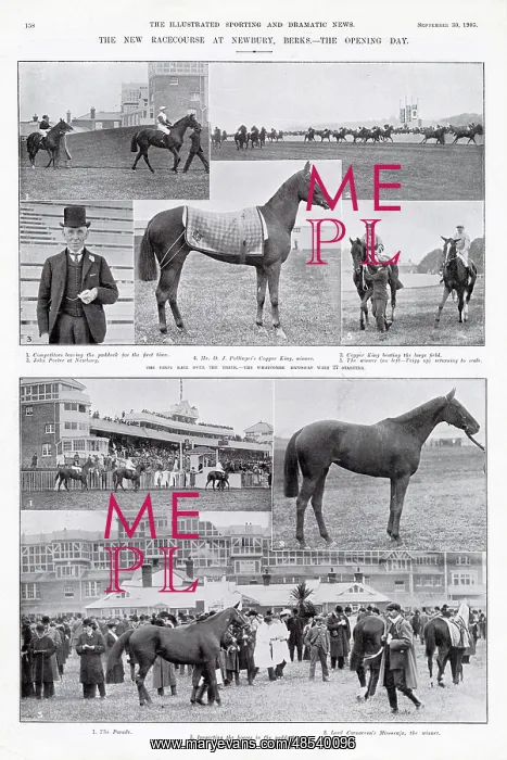 : The New Racecourse at Newbury, Berkshire : The New Racecourse at Newbury, Berkshire