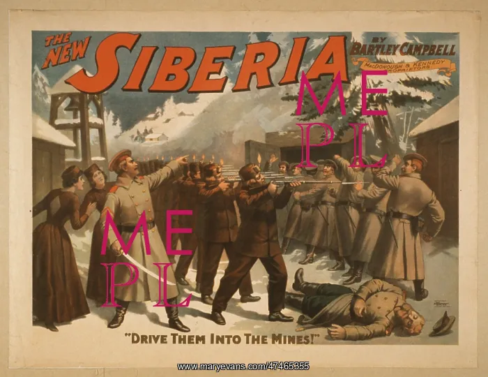  : The new Siberia by Bartley Campbell