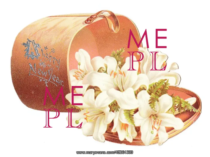  : New Year card in the shape of a box of white lilies