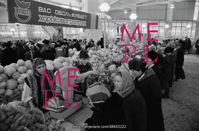 : New Year Fair : New Year Fair