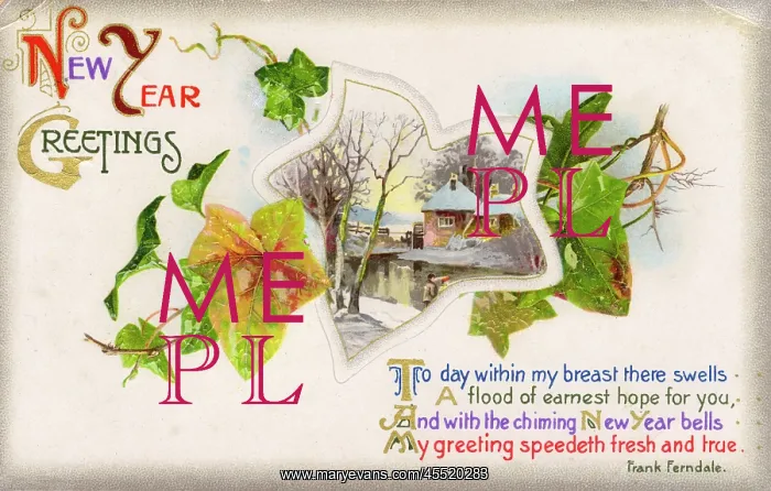 : New Year Greetings Postcard : New Year Greetings Postcard