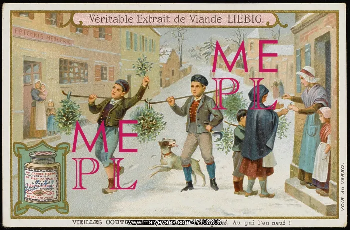 : New Year Mistletoe : New Year Mistletoe