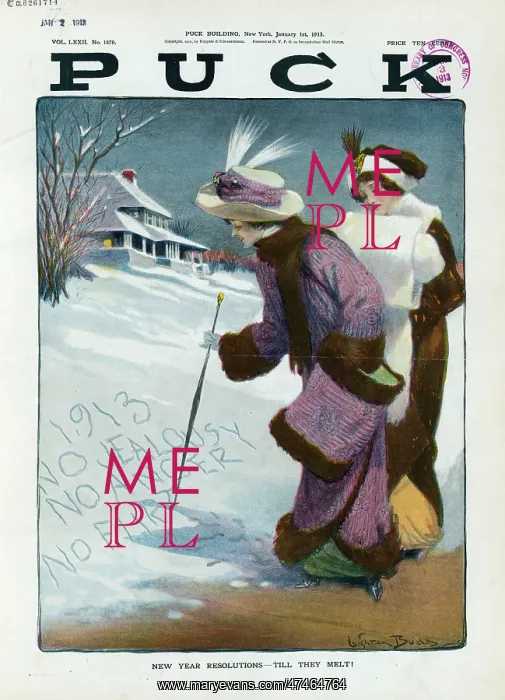: New Year resolutions - till they melt! : New Year resolutions - till they melt!
