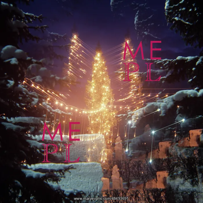 : New Year Tree in Barnaul, 1987 : New Year Tree in Barnaul, 1987