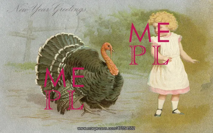  : New Years Greetings postcard, with turkey and child