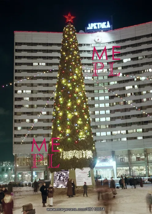 : New Year's light in the polar night. 2000 : New Year's light in the polar night. 2000
