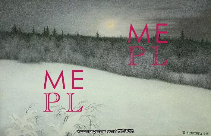 : New Year's New Moon : New Year's New Moon
