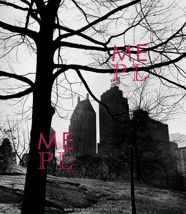 : New York in the 1940th : New York in the 1940th