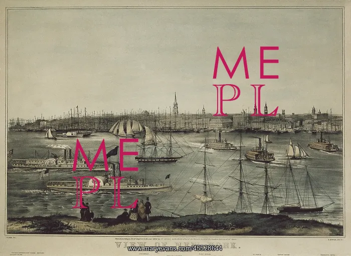 : New York (19th c.). View from Brooklyn. Engraving : New York (19th c.). View from Brooklyn. Engraving