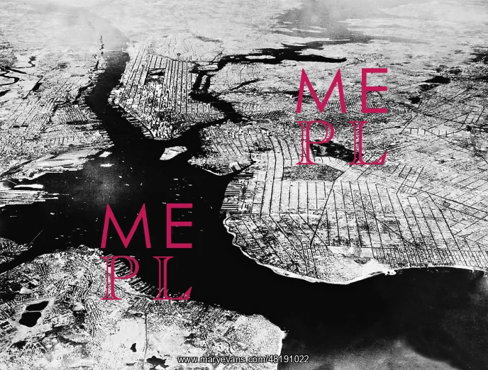 : New York from the bird's-eye view, 1933 : New York from the bird's-eye view, 1933
