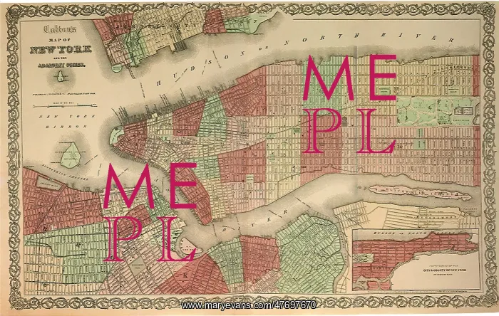 : New York Citynon1865 : New York Citynon1865
