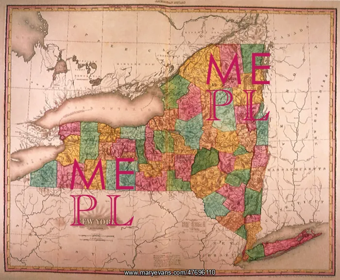 : New York Counties 1823 : New York Counties 1823